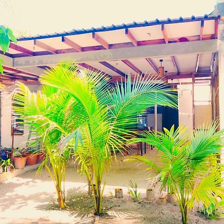 Sancia Lodge Fulidhoo Bagian luar foto