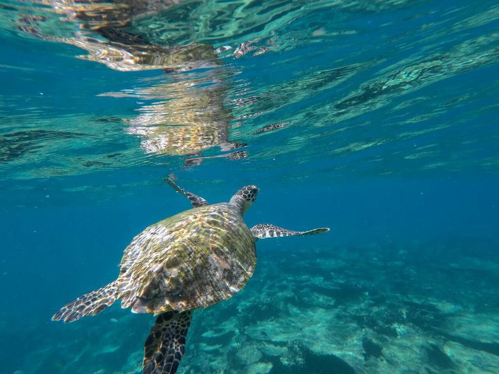 Sancia Lodge Fulidhoo Bagian luar foto