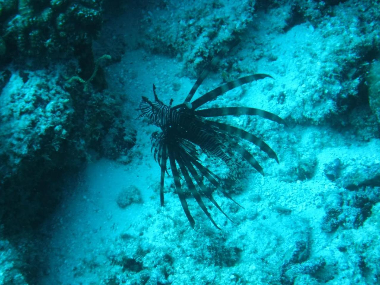 Sancia Lodge Fulidhoo Bagian luar foto